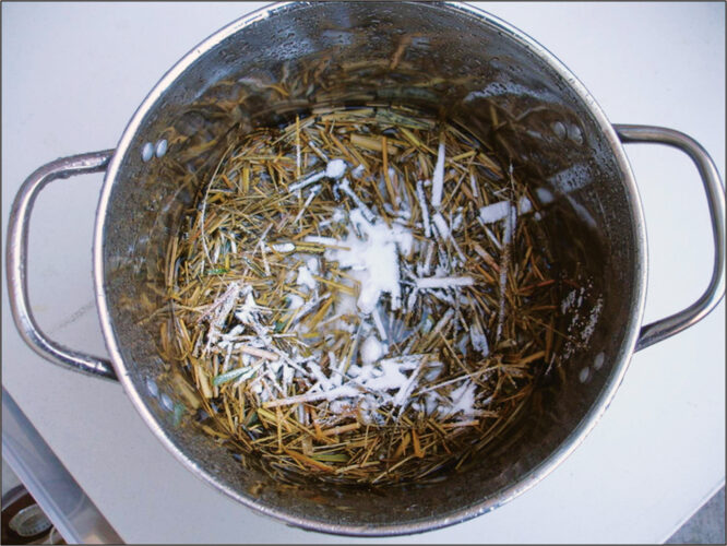 How to Make Paper From Plants Mother Earth News